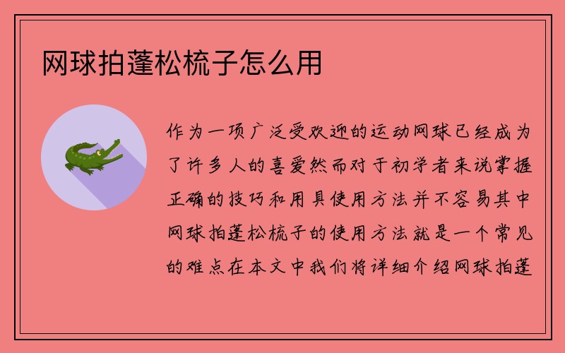 网球拍蓬松梳子怎么用