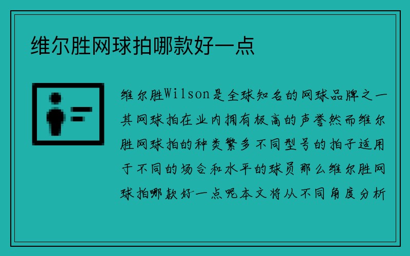 维尔胜网球拍哪款好一点