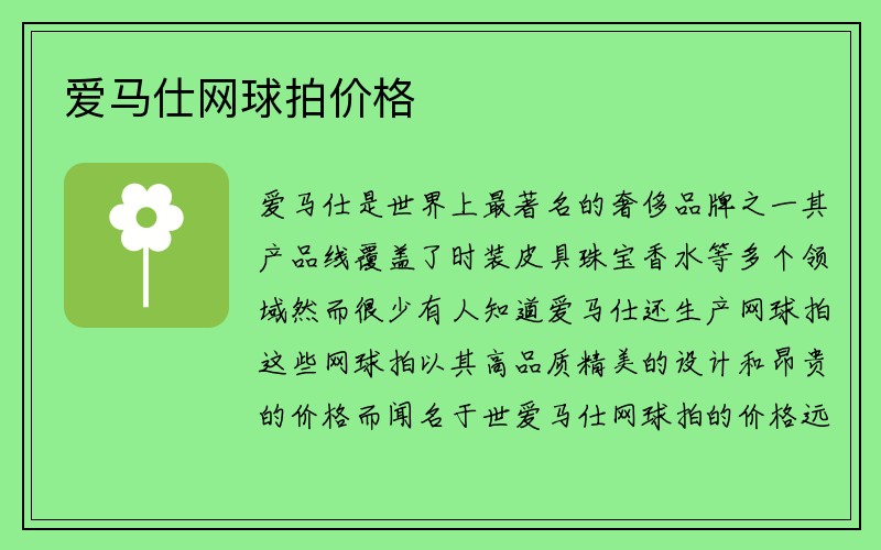 爱马仕网球拍价格