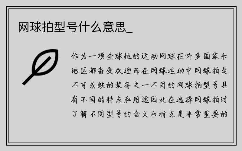 网球拍型号什么意思_